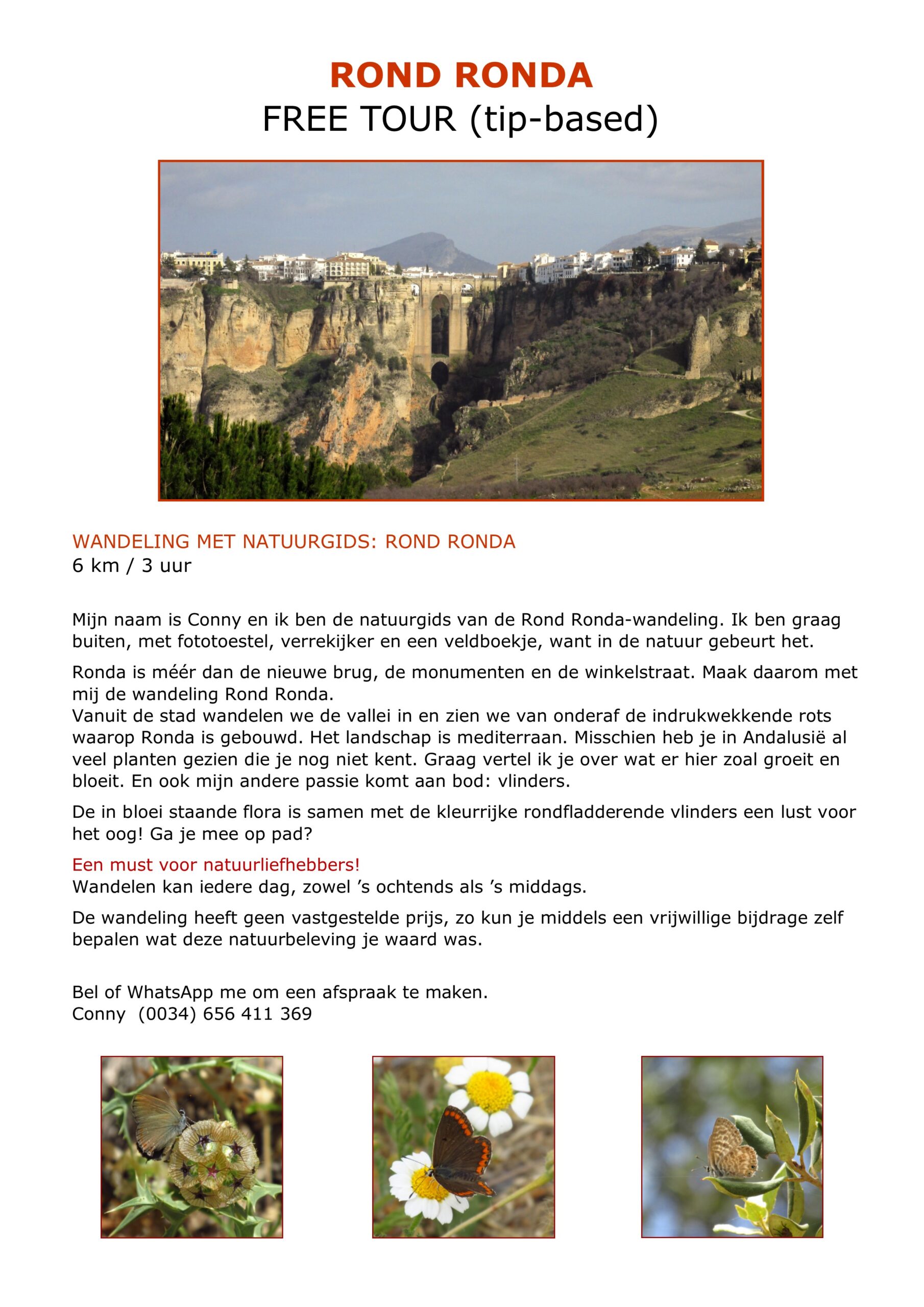 Rond Ronda - free tour 2024